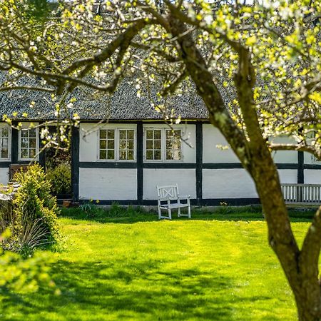 Solbjerggaard Bed & Breakfast Fåborg Exteriör bild