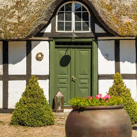 Solbjerggaard Bed & Breakfast Fåborg Exteriör bild