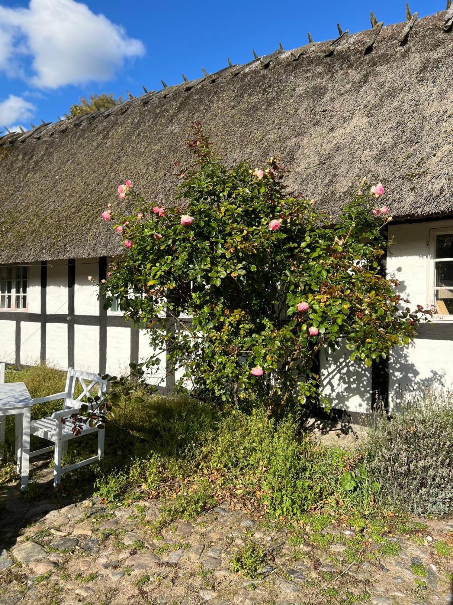 Solbjerggaard Bed & Breakfast Fåborg Exteriör bild
