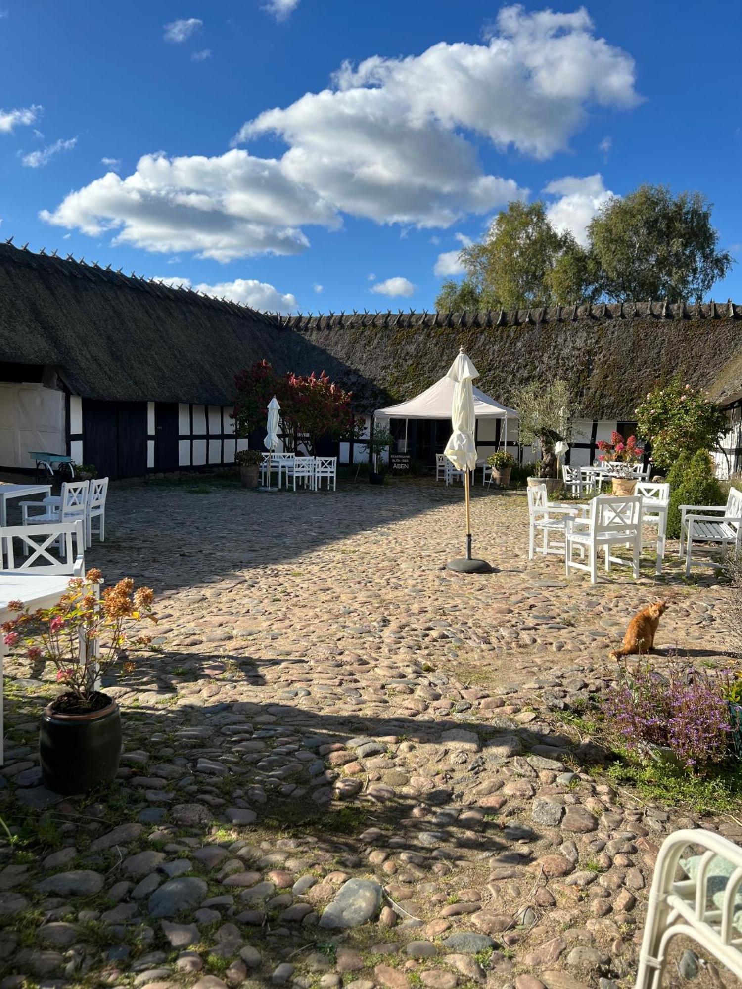 Solbjerggaard Bed & Breakfast Fåborg Exteriör bild