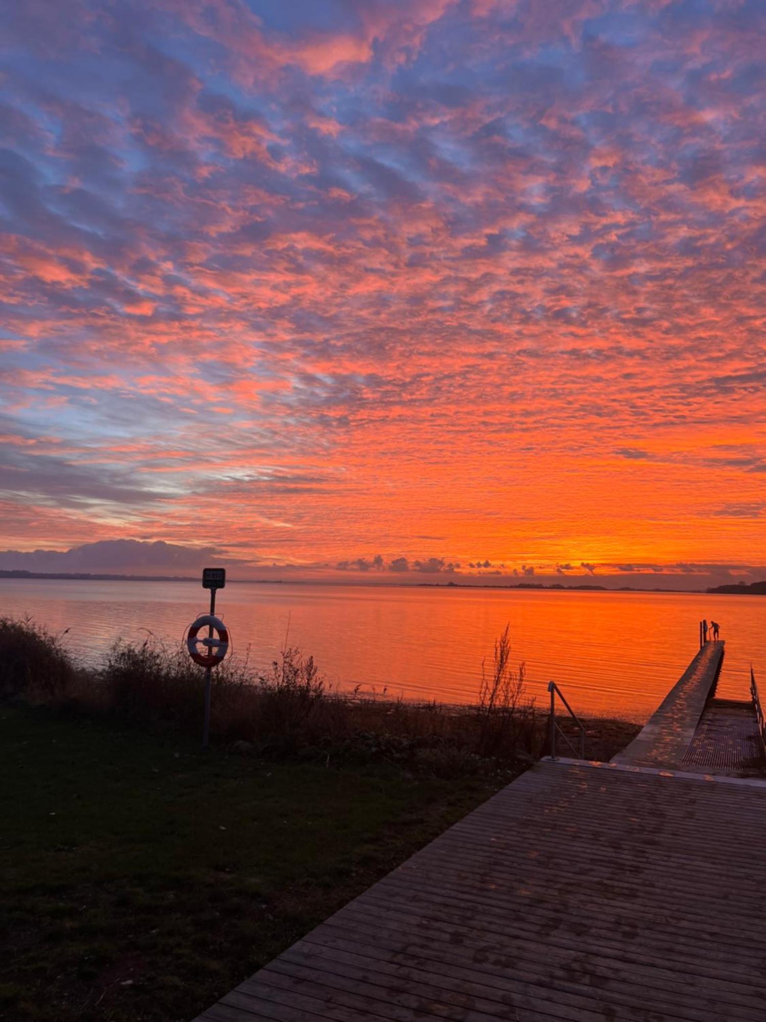 Solbjerggaard Bed & Breakfast Fåborg Exteriör bild
