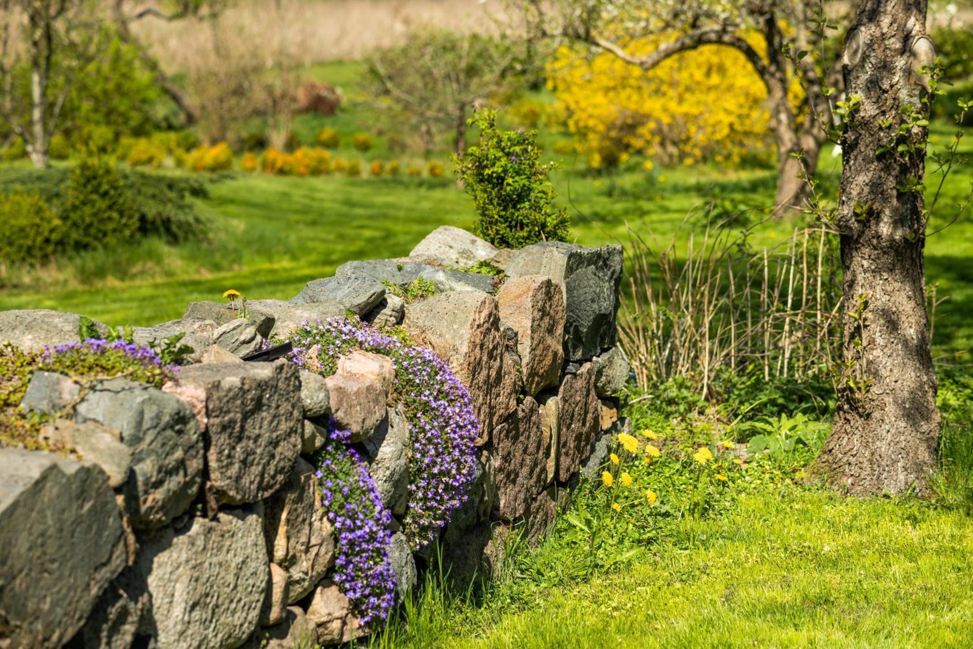 Solbjerggaard Bed & Breakfast Fåborg Exteriör bild