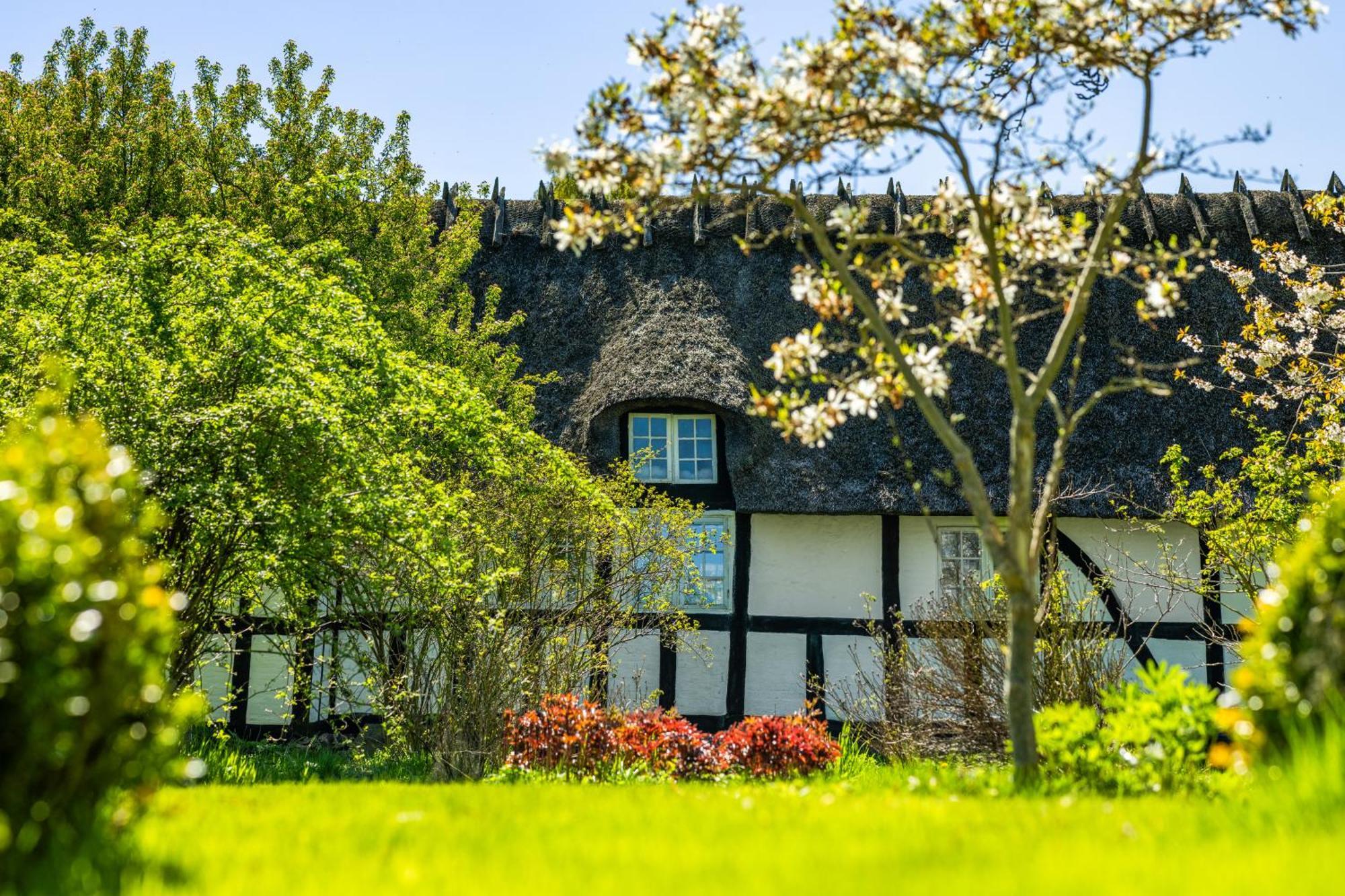 Solbjerggaard Bed & Breakfast Fåborg Exteriör bild